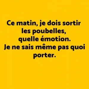 je-dois-sortir-les-poubelles-je-ne-sais-meme-pas-quoi-mettre-lol-300x300.jpg
