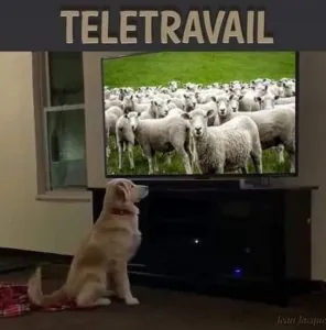 95435430_10207010194648734_4638849027989831680_o.jpg