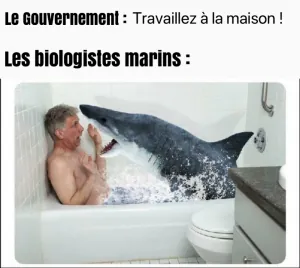 B31F887E-954F-4BD9-AB7D-D8E35FB6D9B0.png