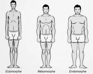560-morphotypes-1.jpg