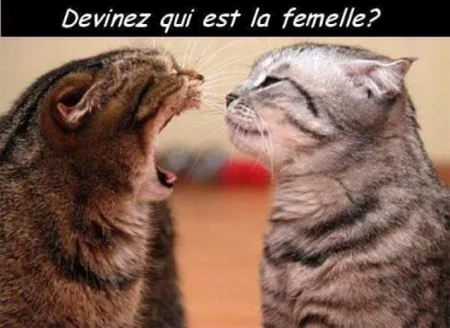 FB_IMG_1589053286968.jpg
