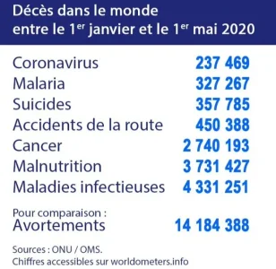 241426