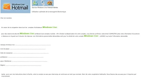 Windows.jpg
