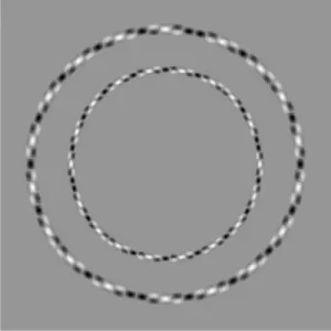 illusion-optique-cercle.jpg