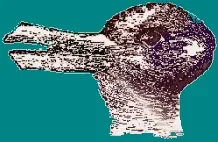 illusion_canard.gif