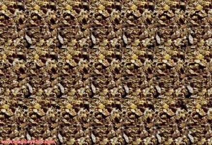 020magiceye3d.jpg