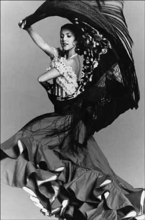 flamenco5.jpg