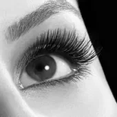 eye.jpg