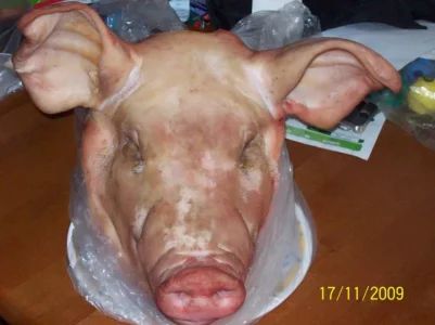 tete-de-cochon-0011.jpg