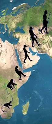 origine singe homme.jpg