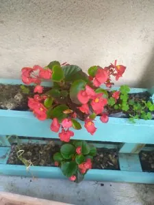 IMG_20200522_201632.jpg
