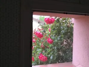 F773C0B1-494B-420E-B0FB-8FCFFE167300.jpeg