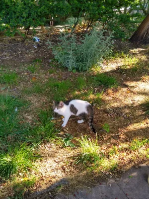 IMG_20200528_173232696_HDR.jpg