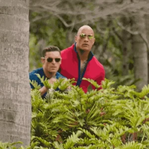 giphy (2).gif