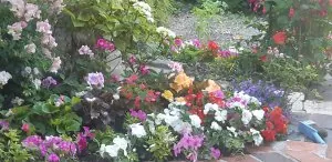 20200602_075606.jpg