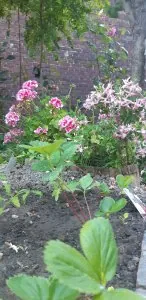 20200602_080020.jpg
