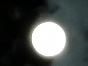 C934A9C6-3011-48A1-B469-431BB886743D.jpeg