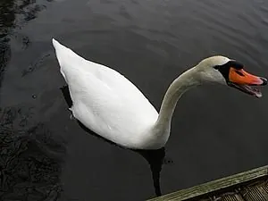243754