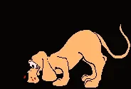 chien27.gif