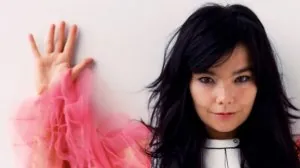 bjork-yntht.jpg