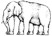 235031illusion-elephant2-gif.gif
