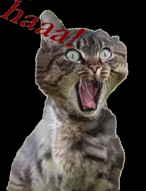244785