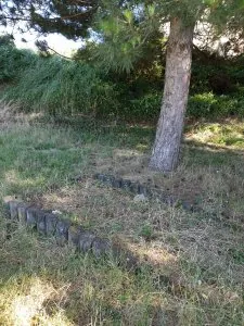 245859
