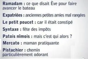 cours de français.jpeg