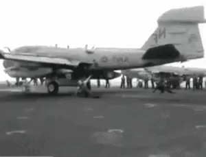 tenor (9).gif