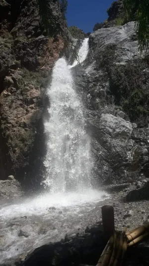 received_589936018575204.jpeg