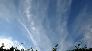 246973