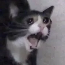 247927