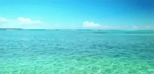 tenor (87).gif