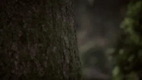 1fnzhKbGDVuHvjRSQZ.gif