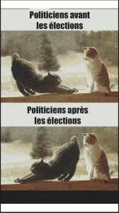 Image-drôle-du-jour-Politiciens-avant-les-élections….png