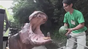 ee1d09717efbe9ce2566ed041a131820.gif