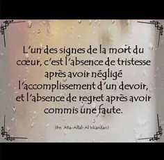 2cd91bc97452e21ad460e5ed3435beab.jpg