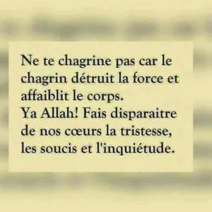 aa9a679af0a4b0f637e92a9507747fa6.jpg