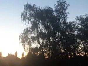 20200713_055014.jpg