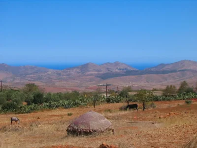 campo.jpg