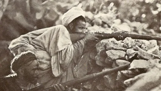 amjahed.jpg