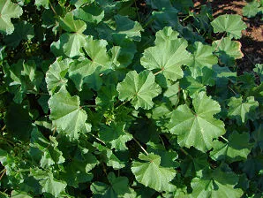 Dsc00148.jpg