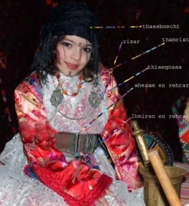 habit trad.jpg
