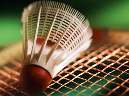 badminton.jpeg