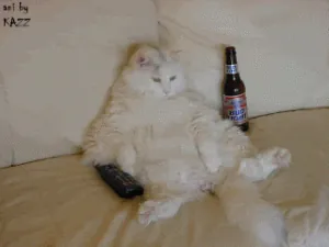 giphy (1).gif