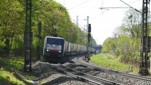 253194