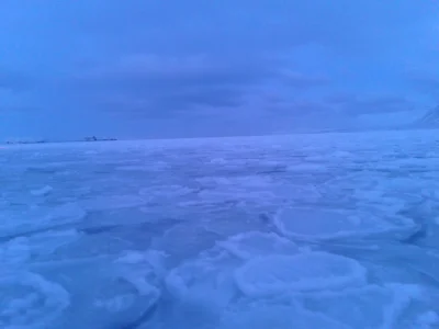 20150207_114911.jpg