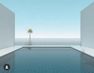 255293