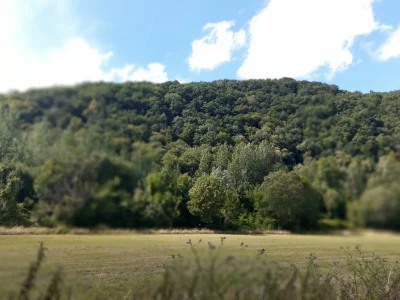 IMG_20200726_161803.jpg