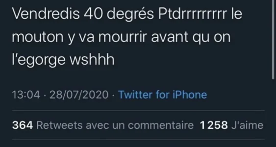 255952